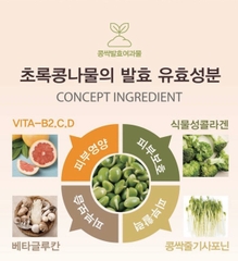 Viên Collagen tươi Ammud Multi Vita Ampoule vỉ 12 viên nang Hàn Quốc