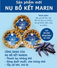 Nụ bồ kết