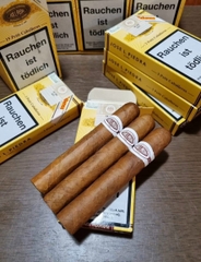 Cigar Jose L. Piedra Petit Caballeros pack 3 - box 15