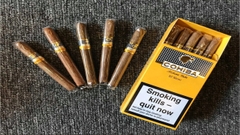 Cigar Cohiba Short Limited Edition