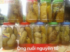 Mật ong rừng