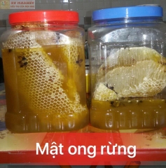 Mật ong rừng