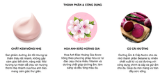 Kem Dưỡng Trắng Da Nâng Tone Tức Thì Innisfree Jeju Cherry Blossom Tone-Up Cream