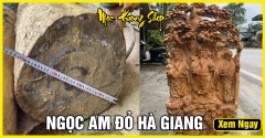 Tất tần tận về gỗ Ngọc Am - Nguồn gốc, Giá bán, Ý nghĩa