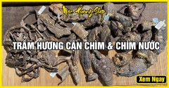 Trầm Hương Cận Chìm và Chìm Nước là gì? Giá bao nhiêu?