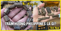 Gỗ Trầm Hương Philippines là gì? - Phân loại, Nguồn gốc và Giá bán