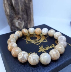 Vòng San Hô Hoá Thạch Tự Nhiên Vip 10mm Vòng San Hô Hoá Thạch Tự Nhiên Vip 10mm