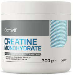 Ostrovit Creatine (300g)