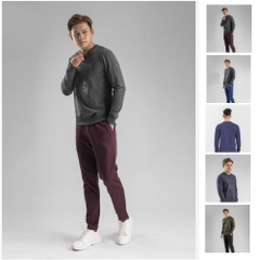 Áo nỉ Sweatshirt Slim dài tay ARISTINO ASW009W8