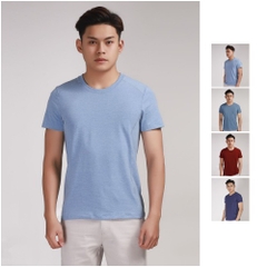 Áo phông nam cổ tròn T-shirt ngắn tay Aristino ATS010S8