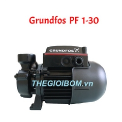 Máy bơm chân không Grundfos PF 1- 30 Máy bơm chân không Grundfos PF 1- 30