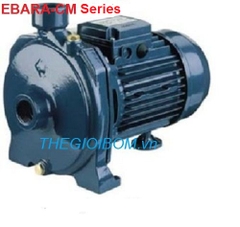 Máy bơm ly tâm Ebara CMA Series Máy bơm ly tâm Ebara CMA Series