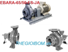 Máy bơm đầu rời Ebara-65/50-FS/JA Máy bơm đầu rời Ebara-65/50-FS/JA