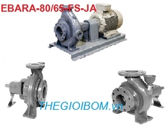 Máy bơm đầu rời Ebara-80/65-FS/JA Máy bơm đầu rời Ebara-80/65-FS/JA