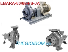 Máy bơm đầu rời Ebara-80/65-FS/JA