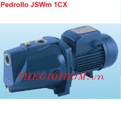 Máy bơm bán chân không Pedrollo JSWm-1CX Máy bơm bán chân không Pedrollo JSWm-1CX