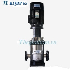 Máy bơm trục đứng Kaiquan KQDP 65 - series