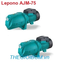 Máy bơm bán chân không LEPONO-AJM-75 Máy bơm bán chân không LEPONO-AJM-75