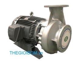 Máy bơm Teco đầu Inox Máy bơm Teco đầu Inox