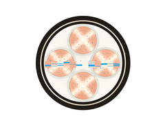 Dây cáp điện Cadisun, Cáp ngầm DSTA 4×150