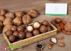 Hạt Macadamin (Mắc ca) vỏ nứt