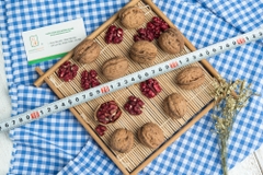 Nhân  óc chó đỏ - Mùa mới 2024 size lớn nhân đầy