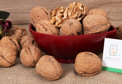 Nhân Óc chó vàng Hartley Mỹ hảo hạng