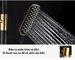 SC1986 - Sen cây nhiệt độ đen vàng 3 nút xoay cao cấp