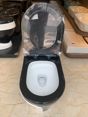 KA603 - Bồn cầu liền khối sứ nung tráng men đen trắng cao cấp