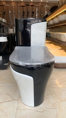 KA603 - Bồn cầu liền khối sứ nung tráng men đen trắng cao cấp