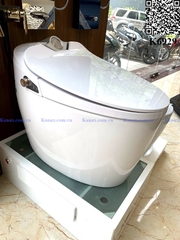 K6929 - Bồn cầu thông minh cao cấp full chức năng