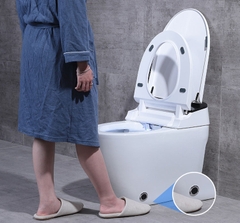 K6928 - Bồn cầu thông minh cao cấp full chức năng, có xịt bọt