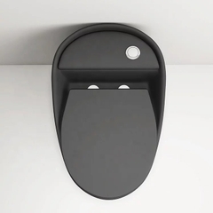 KA810 - Bồn cầu trứng đen cao cấp, men nano nung