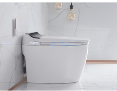 K6915 - Bồn cầu thông minh cao cấp full chức năng,  có két nước