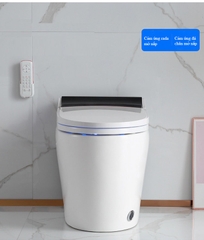 K6915 - Bồn cầu thông minh cao cấp full chức năng,  có két nước