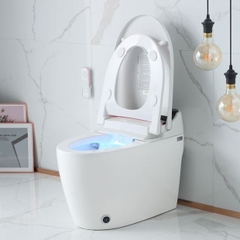 K6915 - Bồn cầu thông minh cao cấp full chức năng,  có két nước