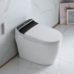 K6915 - Bồn cầu thông minh cao cấp full chức năng,  có két nước