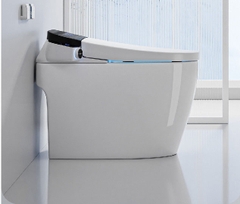 K6928 - Bồn cầu thông minh cao cấp full chức năng, có xịt bọt