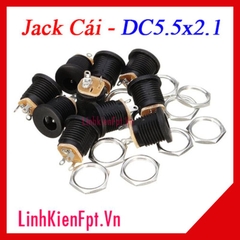 Jack Nguồn DC5.5x2.1mm Có Ốc Vặn- Cái
