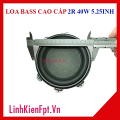 Loa Bass Cao Cấp 2R 40W 5.25inh (Harman Kardo)