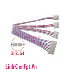 Dây Trắng XH2.54-4P 30Cm