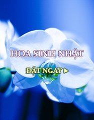 HOA SING NHẬT