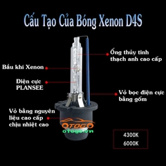 Cấu Tạo Bóng Xenon D4S