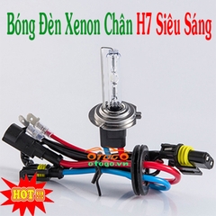 Bóng Đèn Xenon Chân H7 Cao Cấp