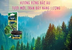 Sáp thơm ô tô hương Cây là kim Rừng bắc Âu – Areon Ken Nordic Forest