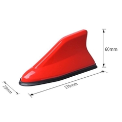 kích thước vây cá xe con