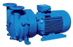 2BVX, 2BVF Series Water Ring Vacuum Pump