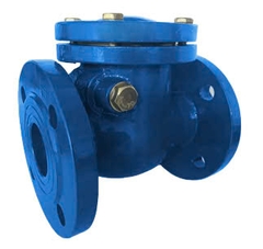 Flanged check valve ductile iron body -CB4248A-EP