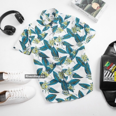 SMC2327 - Z.RA SƠ MI CỘC TAY HỌA TIẾT