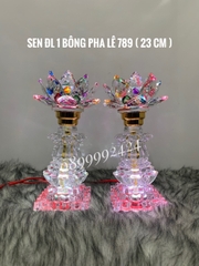 Đèn sen ĐL 1 BÔNG PL 789 ( 23cm )